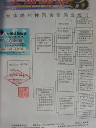 拍賣(mài)商品全攻略 探索各類(lèi)商品拍賣(mài)的世界